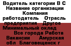 Водитель категории В.С › Название организации ­ Компания-работодатель › Отрасль предприятия ­ Другое › Минимальный оклад ­ 25 000 - Все города Работа » Вакансии   . Амурская обл.,Благовещенск г.